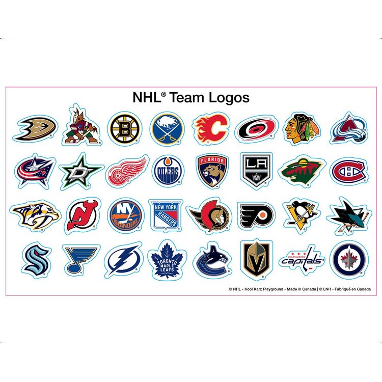 Kool Karz Playground Outdoor NHL Zamboni 6V Ride On Car