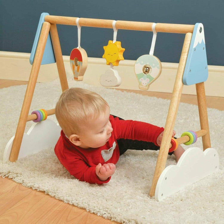 Le Toy Van Infants Baby Gym