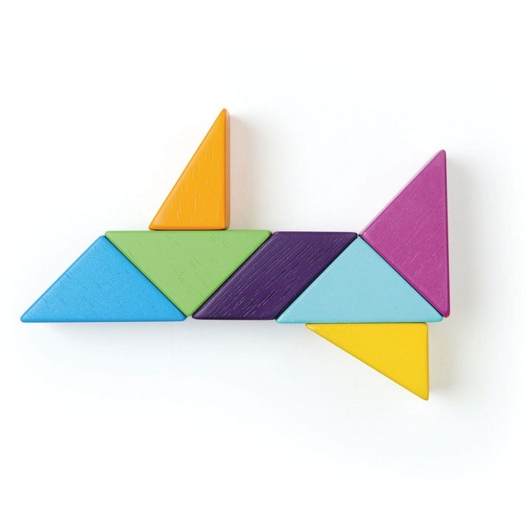 Tender Leaf Toys Preschool Designer Magblocs