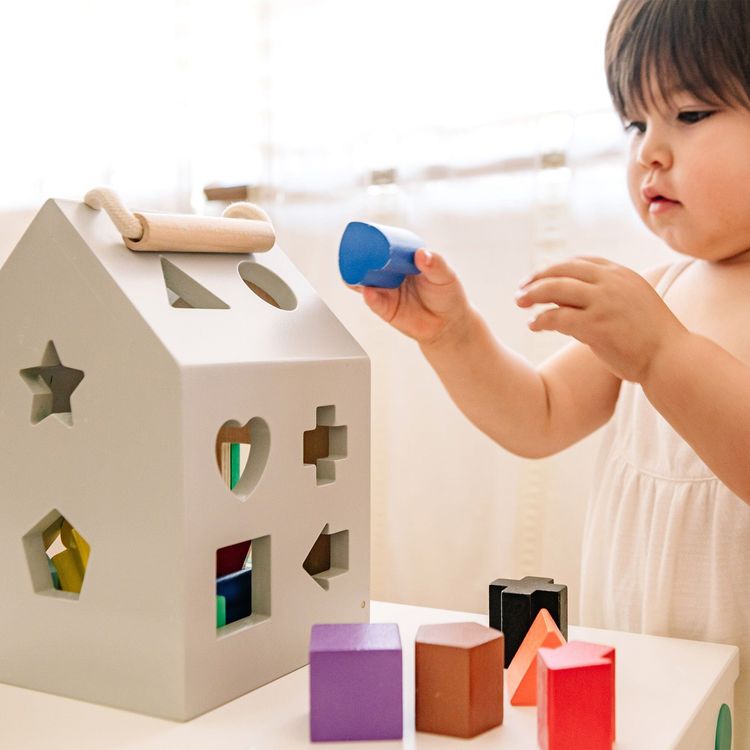 Wonder & Wise Preschool Wooden Shape Sorter