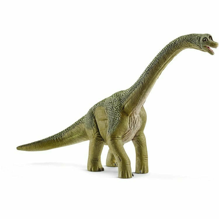 Schleich -  Brachiosaurus -  STEM