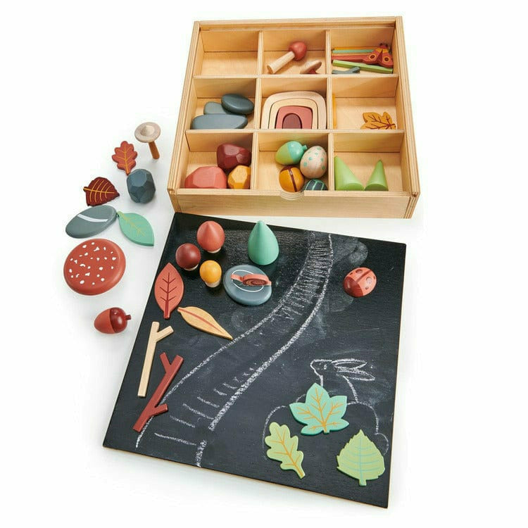  Tender Leaf Toys -  My Forest Floor Wooden Activity Box -  Preschool