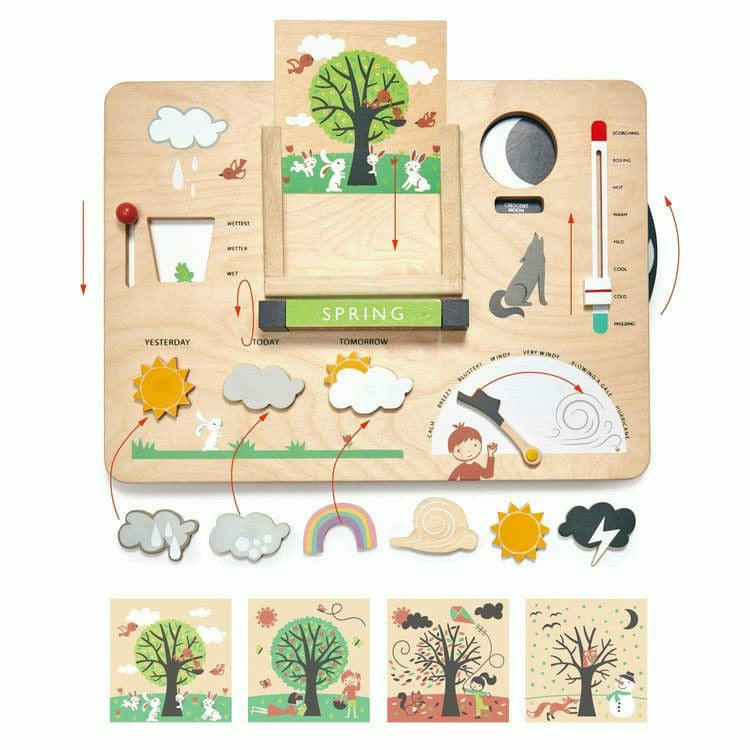  Tender Leaf Toys -  Weather watch -  Preschool