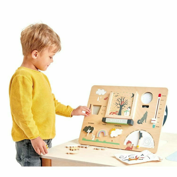  Tender Leaf Toys -  Weather watch -  Preschool