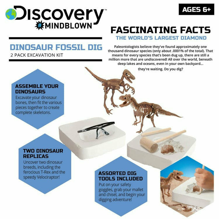 Discovery Mindblown STEM Toy Dinosaur Excavation Kit Skeleton 3D Puzzle T-Rex 15pc and Velociraptor 10pc