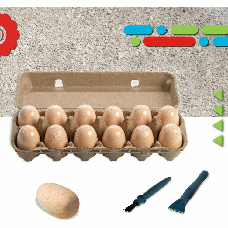 Dig and Discover Dino Excavation Eggs, 12 Pack Mystery Set – FAO