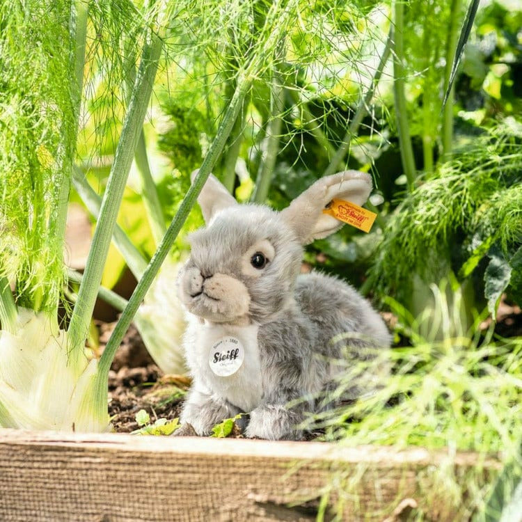 Steiff North America, Inc. Plush Dormili Rabbit, 8 Inches