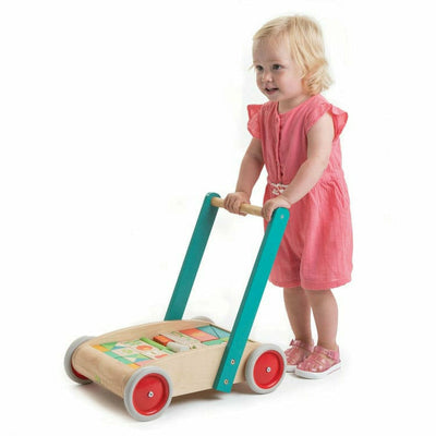 Tender Leaf Preschool Baby Block Walker