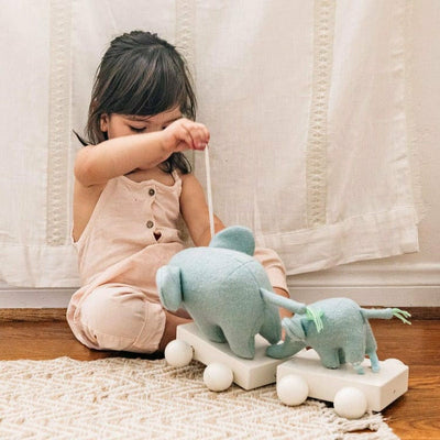 Wonder & Wise Infants Elephant Pull Toy